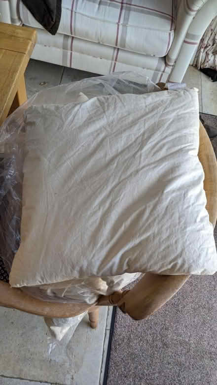 Photo of free 4 x Used feather cushion inners (Cranleigh) #1