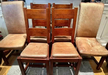 Photo of free Dining Chairs (South Norwood SE25) #1