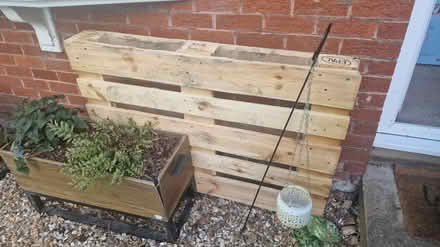Photo of free Euro pallet (Kirk Hallam) #2