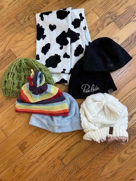 Photo of free Hats and scarves - size women large (Walden - North Porter Square) #1