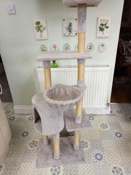 Photo of free Tall cat tree (City of Bristol BS16) #1