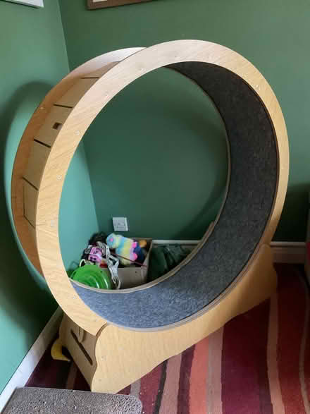 Photo of free Cat wheel (boxed unbuilt) (Warnham) #2