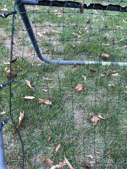Photo of free Ball Return (Dunlora) #3