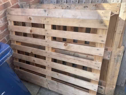 Photo of free Wooden pallets (PE28) #1