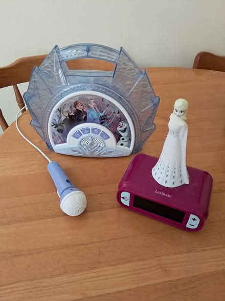 Photo of free Frozen items (Belper DE56) #1