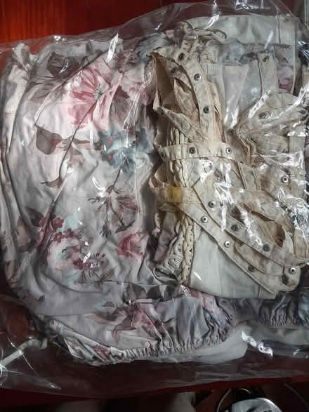 Photo of free Double bed canopy (Jamaica Plain) #1