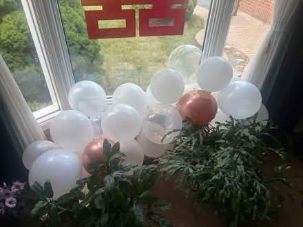 Photo of free Balloons (Pickering) #3