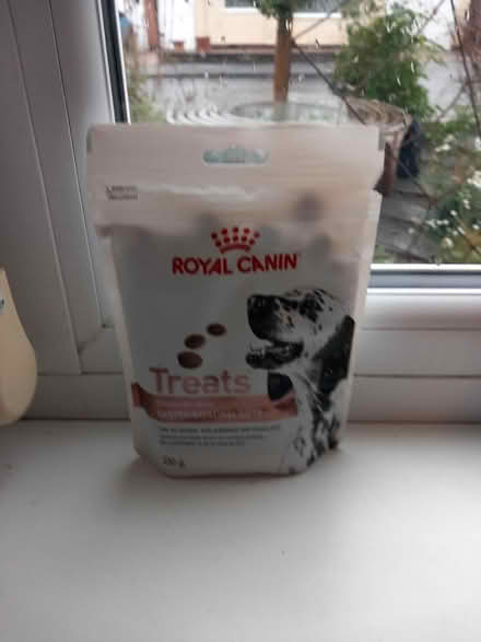 Photo of free Gastro dog treats. (Aspley NG8) #1