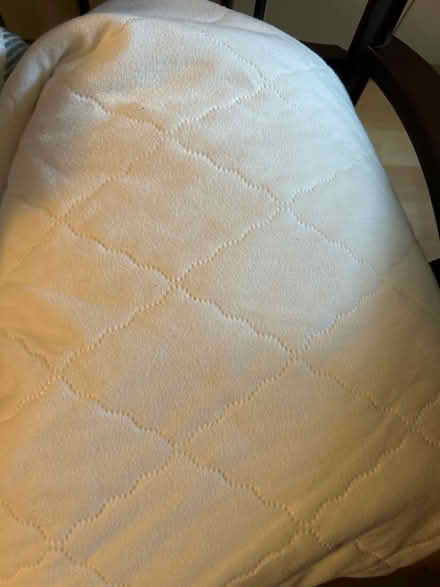 Photo of free Queen quilted mattress cover (L5L 5P5) #1