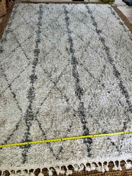 Photo of free rug (San Jose) #3