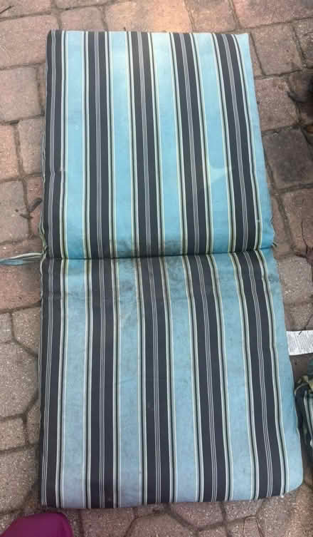 Photo of free Outdoor cushions (Bowie) #1