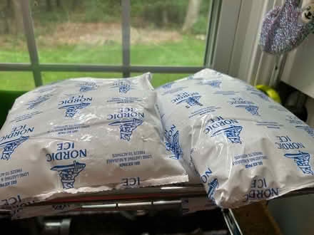 Photo of free Gel ice and cool packs (Off of Fletcher Rd in NK) #1