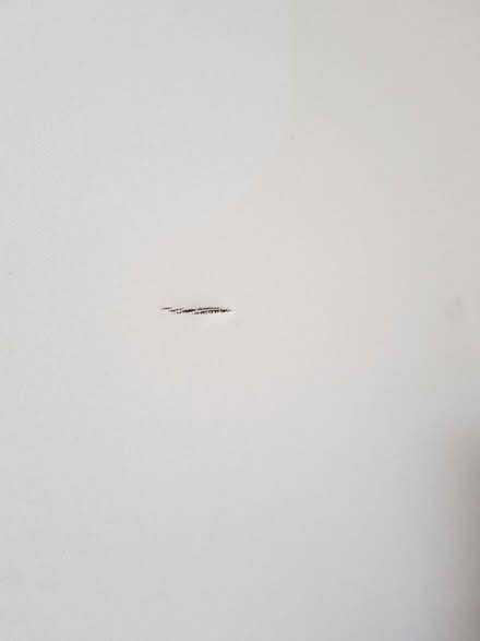 Photo of free Artist's Canvas (BA1) #2