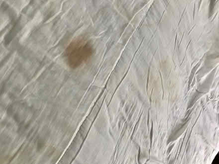 Photo of free Kingsize duvets: 1 winter, 1 summer (Lower Sydenham SE26) #3