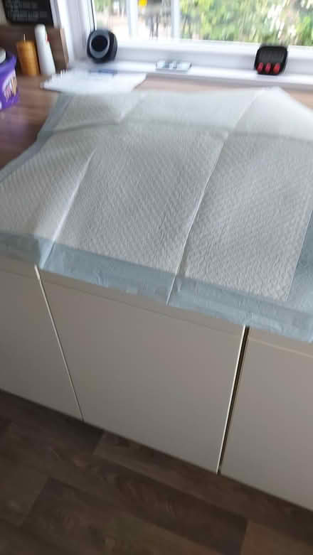 Photo of free Puppy pads (Norton LD8) #1