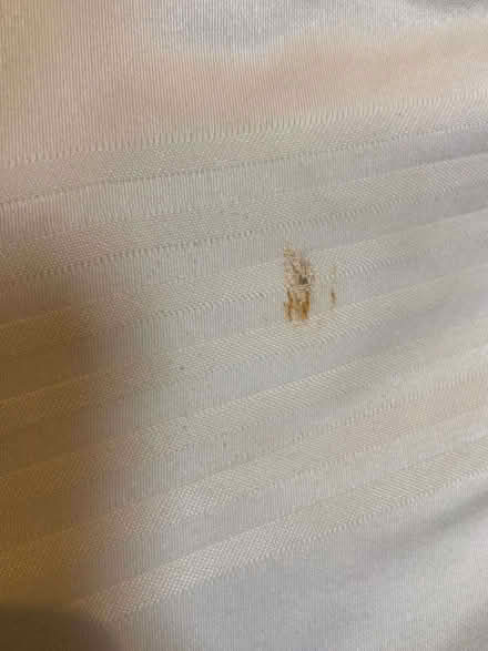 Photo of free Double mattress (Appleby-in-Westmorland CA16) #3