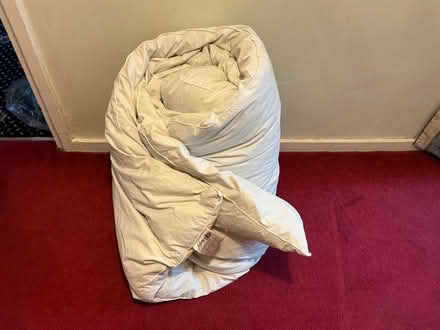 Photo of free Single duvet (feather) (Walkley S6) #1