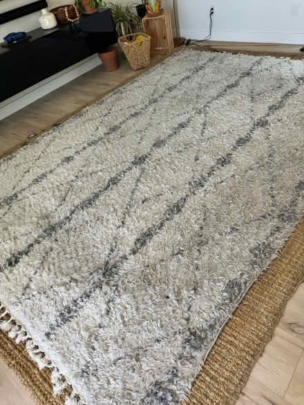 Photo of free rug (San Jose) #1
