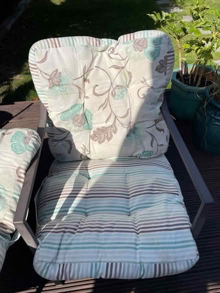 Photo of free Garden cushions and blanket (Golden Green TN11) #3