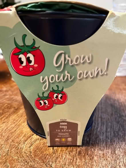 Photo of free Easy grow tomatoes in a metal bucket (Golden Triangle NR2) #1