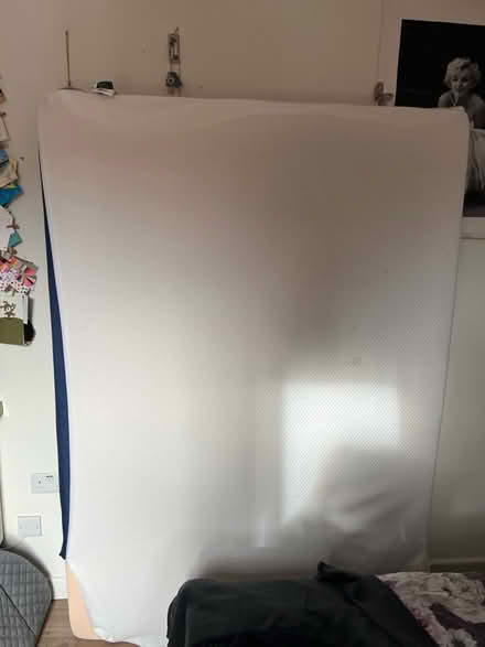 Photo of free Matress (Harringay Ladder N15) #3