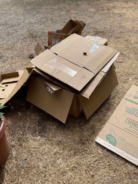 Photo of free Moving boxes (5 minutes from Occidental) #2