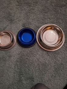 Photo of free 3 bowls for pets, 20874 #1