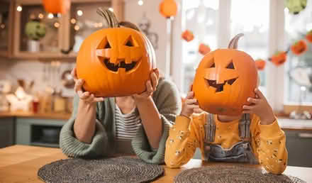 Photo of Halloween COSTUME for 13-15Y KID (Lawrence Expwy & Monroe Street) #1