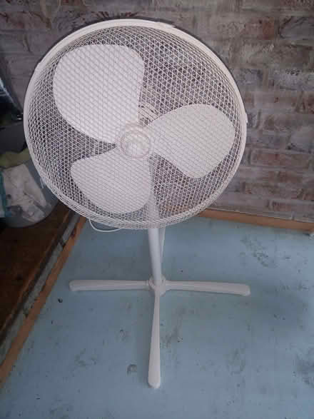 Photo of free Fan (Colchester CO4) #1