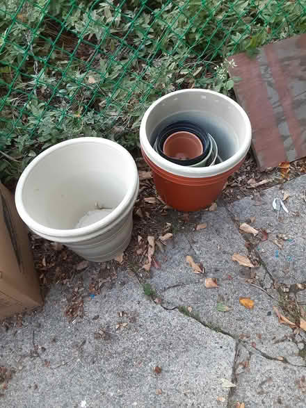 Photo of free Flower pots (Jamaica Plain) #1