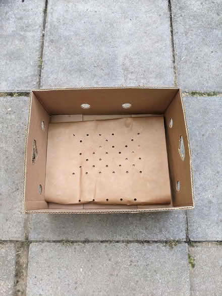 Photo of free Banana Boxes, Double & Single Ply (PL4) #2