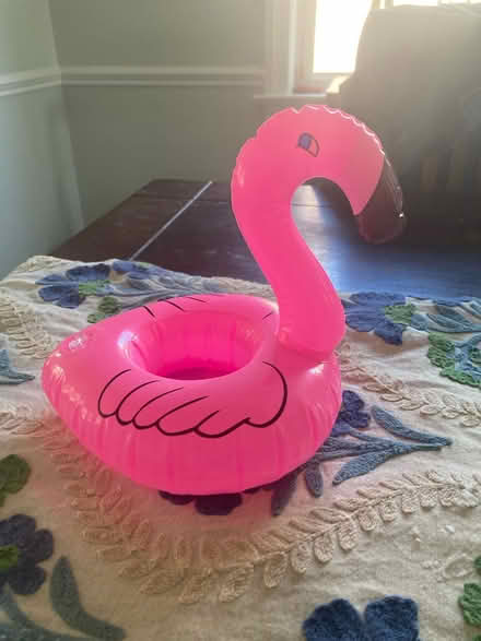 Photo of free Pink flamingos (Sauganash park) #1