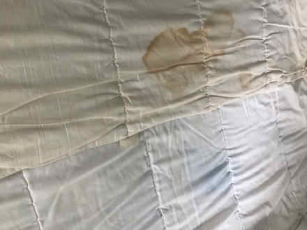 Photo of free Kingsize duvets: 1 winter, 1 summer (Lower Sydenham SE26) #2