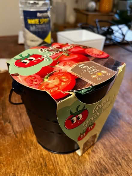 Photo of free Easy grow tomatoes in a metal bucket (Golden Triangle NR2) #2