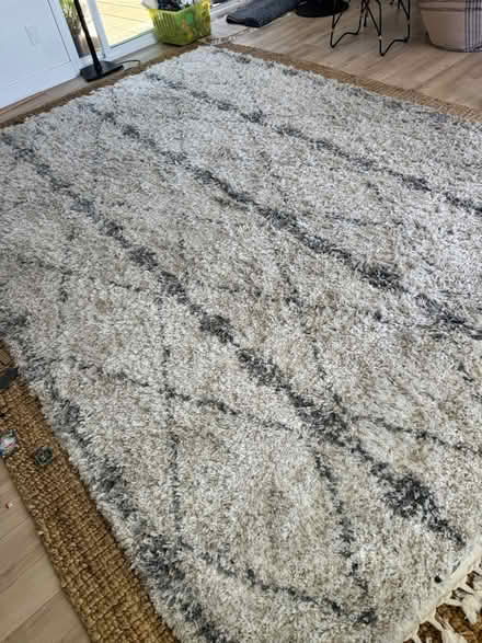 Photo of free rug (San Jose) #2