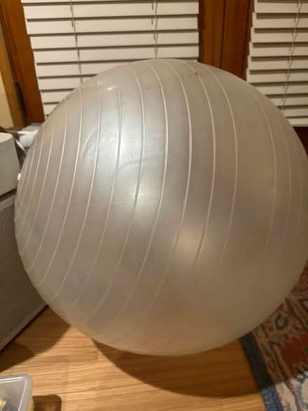 Photo of free Balance ball (NE Seattle) #1