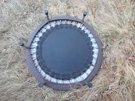 Photo of free Small Trampoline (Interbay/Queen Anne) #2