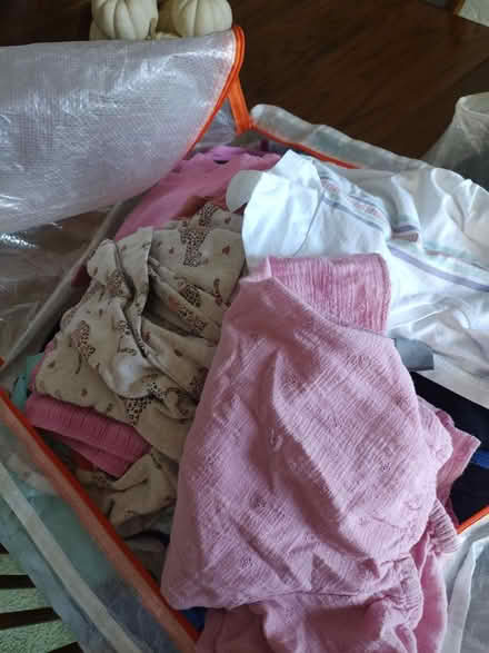 Photo of free Large bag little girls clothes (Odenton) #1