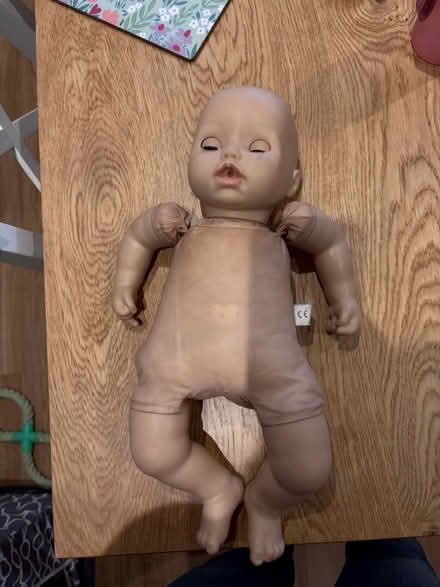 Photo of free Baby annabel (Southdown) #1