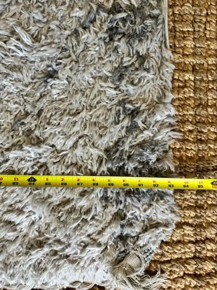 Photo of free rug (San Jose) #4