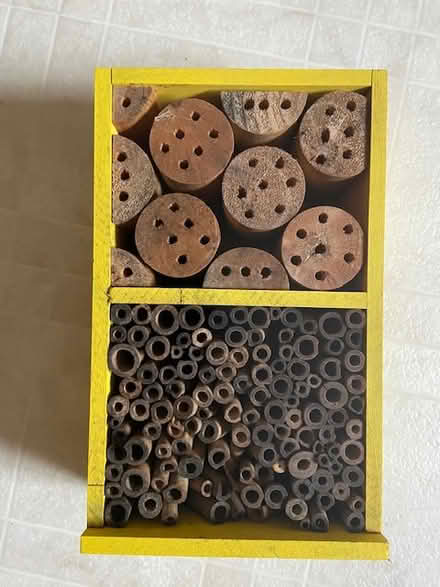 Photo of free bee house (west medford) #1