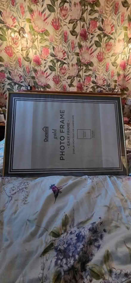 Photo of free Dunhelm gold photoframes 70 x 50cm (Darwen BB3) #1