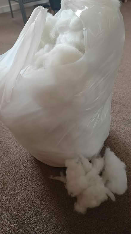 Photo of free Bag of cushion/toy stuffing (CH5) #1