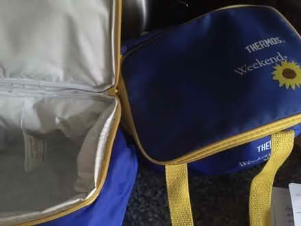 Photo of free cool bags (Queens Park CM12) #1