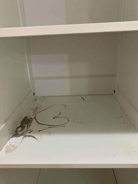 Photo of free Tall wooden bathroom cabinet (Hereford, HR2, Ross road) #4