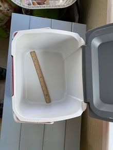 Photo of free Portable Cooler medium size (Nr Fresh Pond & Mt Auburn Cem.) #2