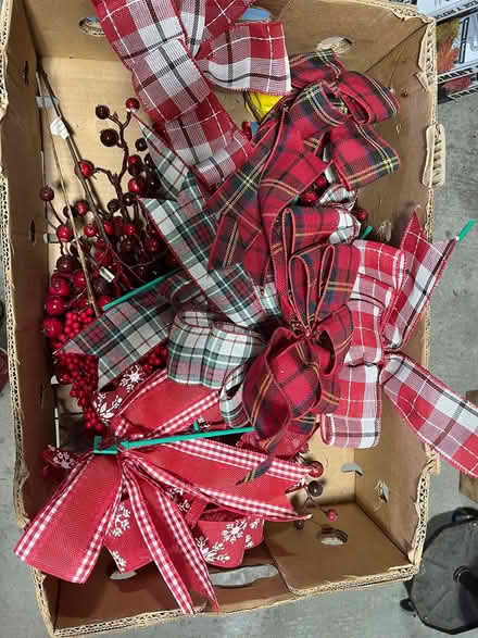 Photo of free Large pine cones for christmas (Kanata Lakes/Beaverbrook) #3