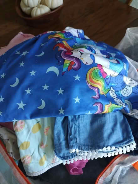 Photo of free Large bag little girls clothes (Odenton) #2