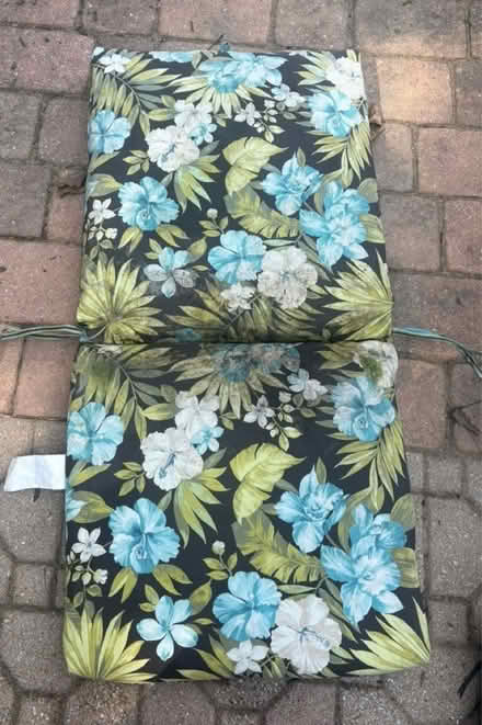 Photo of free Outdoor cushions (Bowie) #2
