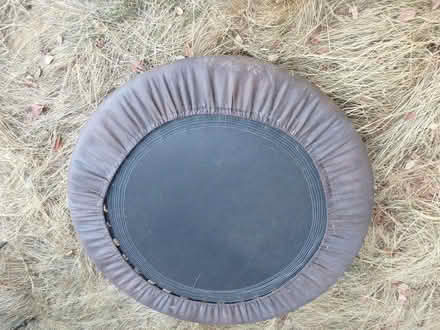 Photo of free Small Trampoline (Interbay/Queen Anne) #1